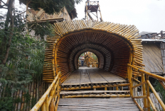 5 Desain Pagar Bambu Estetik yang Membuat Hunian Terlihat Lebih Alami!