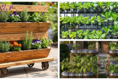 Fleksibel dan Praktis: 6 Solusi Kebun Sayur Portabel yang Tidak Merusak Halaman