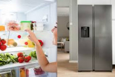 Kulkas 2 Pintu Sharp: Desain Modern dengan Fitur Keunggulan Maksimal!