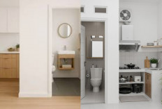 Rumah Terasa Lebih Mewah dengan Model Dapur dan Kamar Mandi Minimalis Modern!