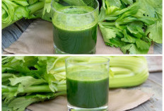Rebusan Daun Seledri Ternyata Punya Banyak Khasiat! Ini 5 Manfaat dan Cara Mengonsumsinya