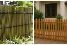8 Inspirasi Pagar Bambu Estetik untuk Mempercantik Tampilan Rumah