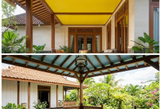 Rekomendasi 5 Warna Plafon Teras yang Bisa Menarik atau Mengusir Tawon Secara Alami!