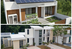 Tren Rumah Net-Zero di Era Modern: Desain Minimalis, Ramah Lingkungan, dan Super Efisien