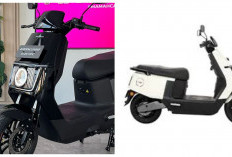 6 Alasan Mengapa Polytron Fox-200 Layak Disebut Motor Listrik Terbaik