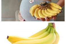 12 Kelebihan Mengagumkan Buah Pisang untuk Ibu Hamil
