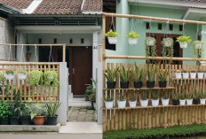 Model Pagar Bambu dengan Pot Gantung, Bikin Rumah Subsidi Terlihat Lebih Cantik!