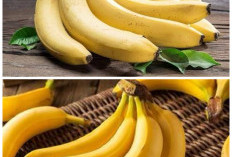Inilah Khasiat Luar Biasa Pisang Ambon untuk Menjaga Kesehatan Tubuh!
