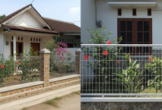 Inspirasi Model Pagar BRC untuk Rumah di Kampung, Sederhana tapi Estetik!