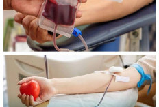 7 Alasan Donor Darah Bermanfaat bagi Kesehatan Tubuh