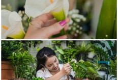 Cantik Namun Berbahaya, 5 Tanaman Hias Berbunga yang Perlu Diwaspadai di Rumah