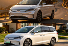 BYD M6 Tawarkan Solusi Mobilitas Modern dengan Kabin Luas dan Teknologi Listrik Canggih