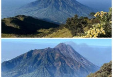 Jalur Pendakian Purba: Menelusuri Alasan Mengapa Gunung Bismo Dieng Begitu Sakral