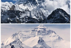 Sejarah Gunung Jayawijaya, Puncak Tertinggi Indonesia yang Menyimpan Jejak Alam Purba
