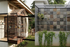 Kandang Burung Sederhana, Solusi Cantik untuk Pecinta Burung di Rumah!