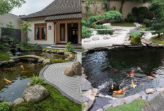 Inspirasi Kolam Ikan Gaya Jepang dengan Sentuhan Alam yang Menenangkan!