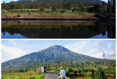 Jarang Ada yang Tahu! Ini Surga Tersembunyi di Temanggung yang Cocok Buat Kabur Akhir Pekan