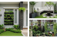 9 Desain Kebun Mini Low Maintenance, Solusi Hijau untuk Rumah Kecil