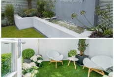 Ide Taman Belakang Rumah Minimalis Bergaya Modern, Simpel dan Praktis