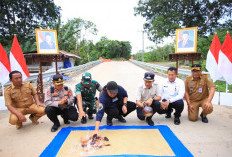 Gubernur Herman Deru Resmikan Jembatan Tumpang Sari di PALI