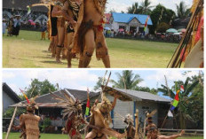 Mengenal Suku Dayak: Sejarah, Tradisi, dan Kehidupan Masyarakat Adat Penjaga Hutan Kalimantan