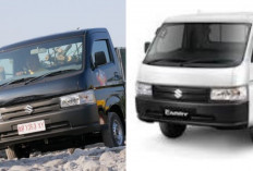 Dampak Manis MBG di Semester I 2026: Mengapa Suzuki New Carry Jadi Pilihan Utama dan Laris Manis?