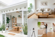 Desain Rumah Minimalis Putih-Kayu 2026: Rahasia Ruangan Luas, Terang, dan Atmosfer Japandi yang Kekinian!