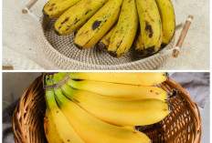 Rahasia Sehat Alami: Segudang Manfaat Pisang Ambon untuk Tubuh Anda!