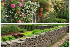 Kebun Sayur Rapi & Aman: 8 Ide Pagar Murah untuk Lindungi Tanaman dari Ham