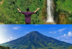 Pesona Wisata Temanggung: Menikmati Kesejukan Alam dan Spot Foto Instagramable yang Sedang Hits!