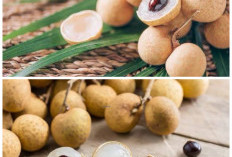 Rahasia Khasiat Buah Kelengkeng untuk Menjaga Kesehatan Tubuh Secara Alami!
