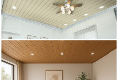 6 Pilihan Plafon PVC Favorit untuk Rumah Modern Masa Kin