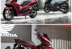  Pilih Honda PCX 160, Kenyamanan Berkendara Jadi Alasan Utama