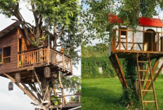 Inspirasi Model Rumah Kayu Sederhana di Pohon yang Menyatu dengan Alam!
