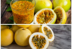 Manfaat Tak Terduga Buah Markisa: Kecil, Asam, Tapi Kaya Khasiat