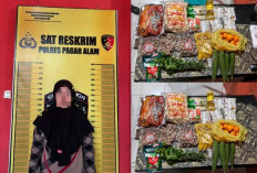 Belanja Tak Bayar Tembus Jutaan, ASN Pagar Alam Ini Berurusan Dengan Polisi   