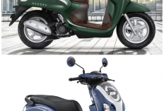 Masih Jadi Primadona! Ternyata Ini Sederet Kelebihan dan Kekurangan Honda Scoopy Terbaru