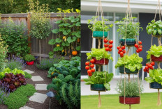Inspirasi Kebun Sayur dan Buah di Rumah, Tetap Produktif Meski Lahan Sempit!