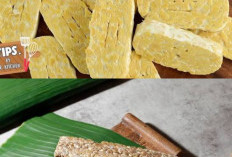 Tempe Tahan Lebih Lama! Ini Tips Menyimpannya di Kulkas agar Kualitas Tetap Terjaga