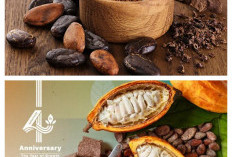 7 Manfaat Cocoa bagi Kesehatan, Kaya Antioksidan dan Nutrisi Penting