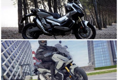 Honda X-ADV 2025: Motor Adventure Premium dengan Fitur Modern dan Performa Tangguh!