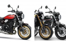 Kawasaki Z650RS 2027 Terbaru: Ada Black Ball Edition, Harga Mulai Rp108 Jutaan!