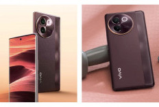 Pengguna Vivo Wajib Tau! Kamera Super Jernih Ini Sangat Cocok Buat Kamu Angkut