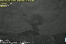 Gunung Dempo Erupsi Dini Hari, Kolom Abu Capai 2.500 Meter