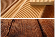 Kayu Bengkirai: Material Premium Tahan Rayap dan Cuaca, Cocok untuk Konstruksi Tangguh