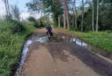 Warga Desak Perbaikan Kerusakan Jalan di Pagar Alam