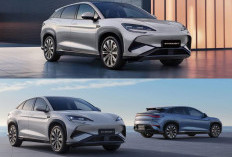 BYD Sealion 7 Hadir dengan Dua Pilihan Performa, Pilih SUV Listrik Hemat Jarak Jauh atau Monster 523 HP?