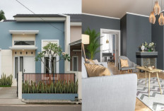 Rekomendasi Warna Cat Rumah yang Bikin Tampilan Lebih Mewah Tanpa Renovasi Besar!