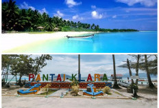 Pengen Liburan Pantai? Ini 5 Destinasi Wisata Bahari di Lampung dengan Keindahan Bawah Laut Memukau
