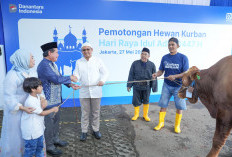 BRI Group Distribusikan lebih dari 5000 Hewan Kurban di Berbagai Daerah di Indonesia 